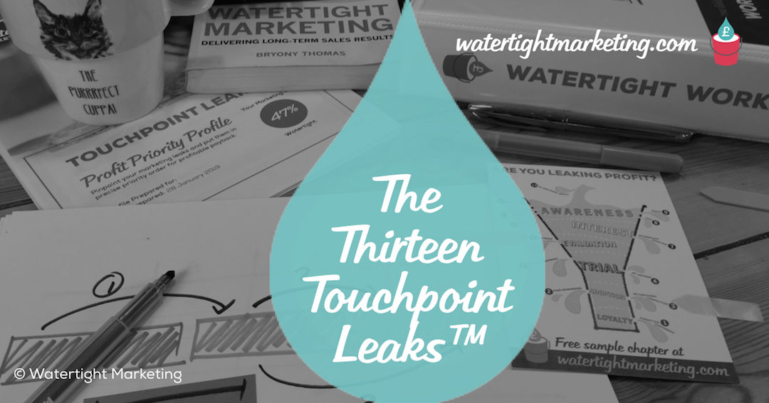 What are the Thirteen Touchpoint Leaks?