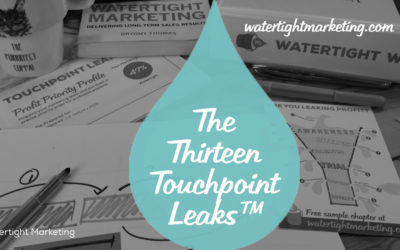 What are the Thirteen Touchpoint Leaks?