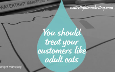 Why you should treat your customers like adult cats