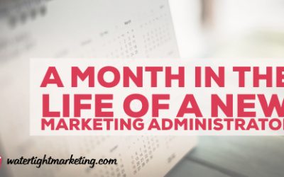 A month in the life of a new marketing administrator