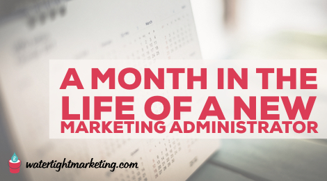 A month in the life of a new marketing administrator