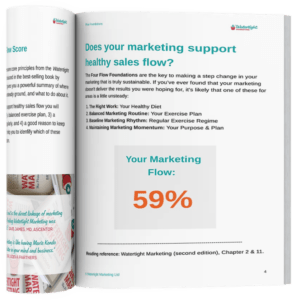 Marketing Flow Score