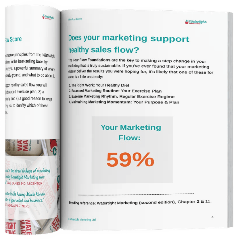 Marketing Flow Score