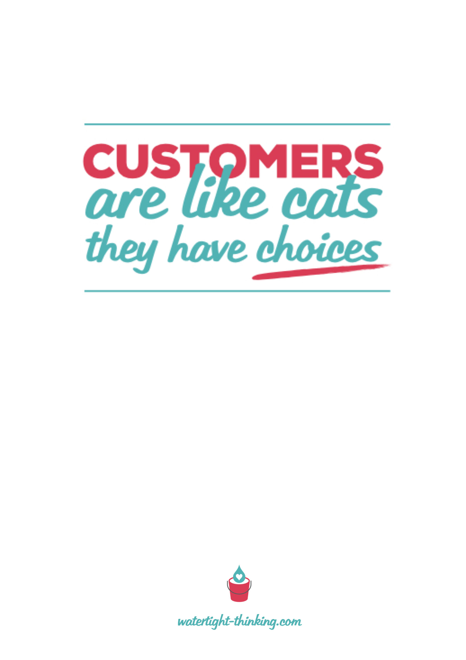 "Customer are like cats, they have choices."